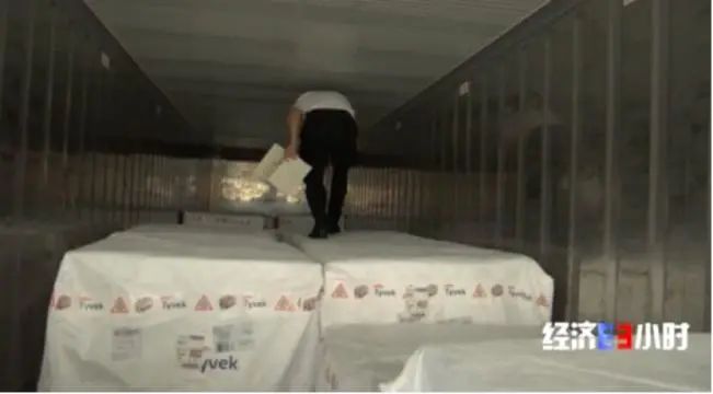 久久网东宫