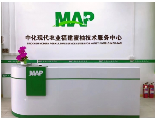 "7 2"落地平和县,中化农业map培育出珍果"柚希"