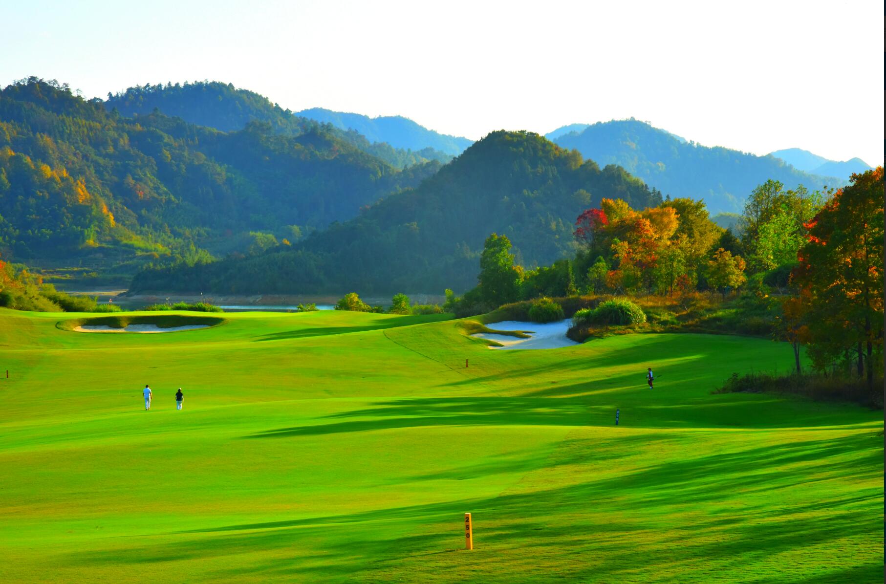 山色湖景有无中 世外桃源家别处 青山 绿地 太平湖